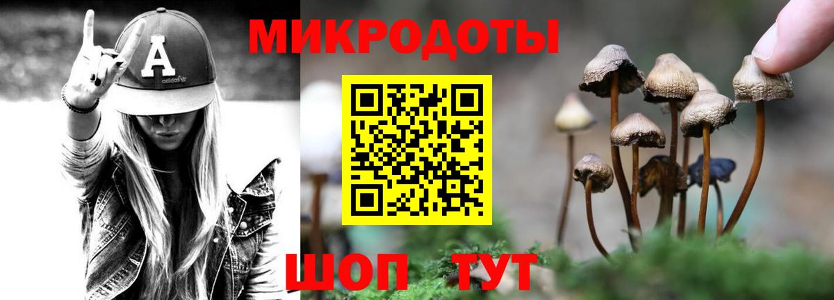 Зеленогорск  Псилоцибиновые грибы Psilocybe  где купить наркоту  Вход с VPN 