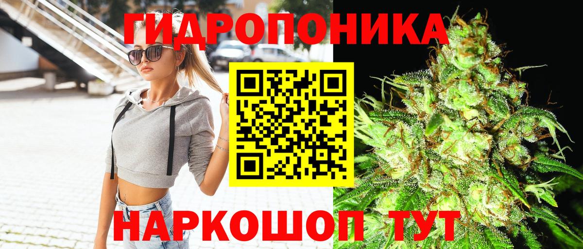 Бошки марихуана Amnesia Зеленогорск